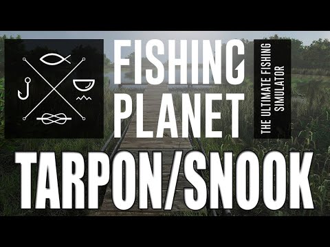 Fishing Planet - Everglades - Tarpon/Snook Guide