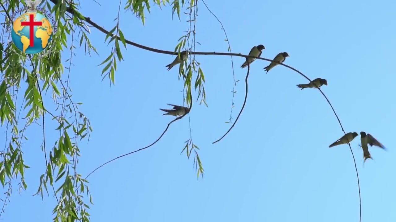 యేసే నా జీవితం మరియు నా ప్రేమ, Lyrics by Bro Dr M.James Wilson, Songs of Zion, FCW