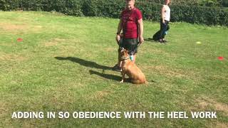 BRAND NEW | BEGINNERS CLASS | WEEK 2