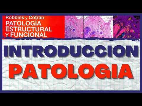 Introduccion a la Patología (Concepto, Etapas, Personajes, Ramas)