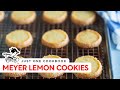 How to Make MEYER LEMON COOKIES (Sables) (Recipe) マイヤーレモンサブレの作り方 (レシピ)
