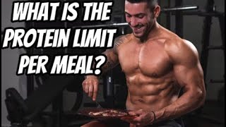 How Much Protein Can You Absorb In One Meal? (20g? 30g? 100g?)