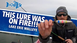 Lake Erie Walleye Fishing Trip  Spring 2024 with BTeam Bob