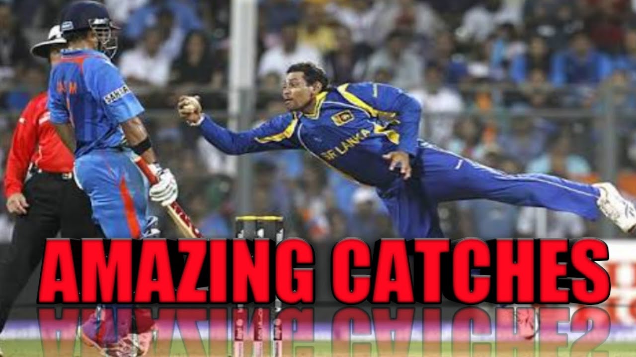 AMAZING CATCHES IN CRICKET HISTORY YouTube