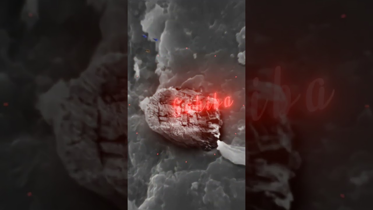 Mornging vibes.... feel it..... enjoy it.... 