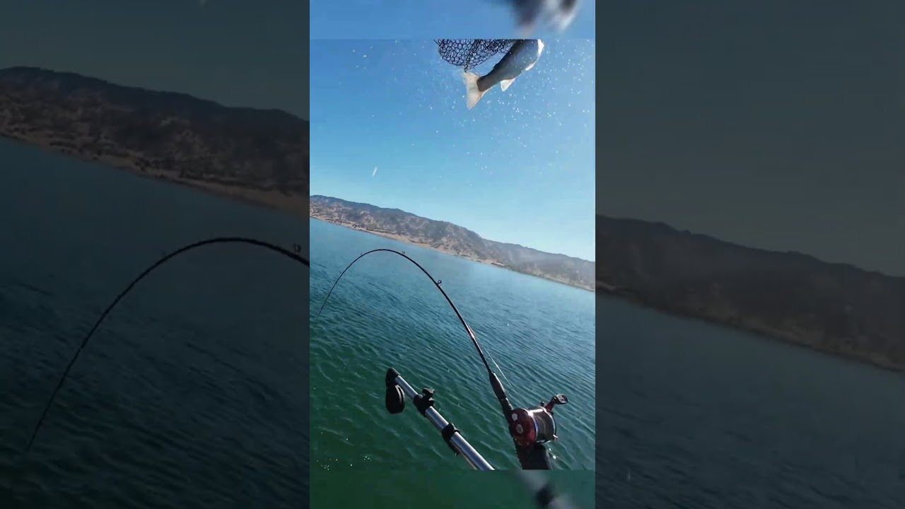 DISCLAIMER: User Error on Lake Berryessa