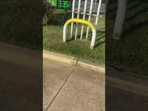 Un buen recorte de grama y una limpieza extrema ￼