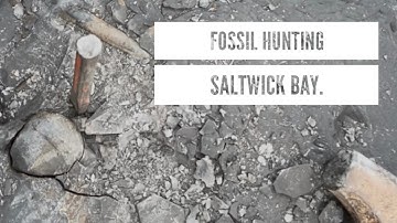Fossil hunting at Saltwick on the Yorkshire Coast. Join me on a hunt for fossils. Lots of ammonites!