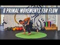 PRIMAL MOVEMENT FLOW | Creative Movement Practice for Better Mobility