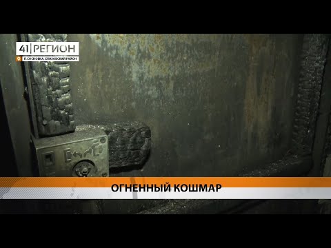 Новости Камчатки за 31 октября 2024 года