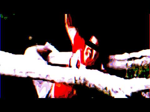 La caída de Edgar. (Analog Horror Dub)