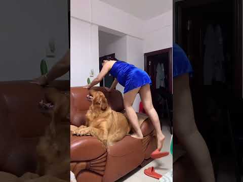 起来玩呀,别睡了#夫妻 #孕妇#萌宠出道计划 #记录真实生活 #怀孕