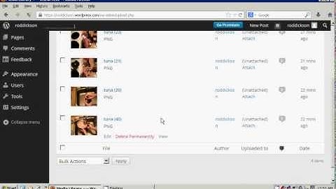 How to properly and permanently delete blog posts, pages, links and media in WordPress (empty trash)