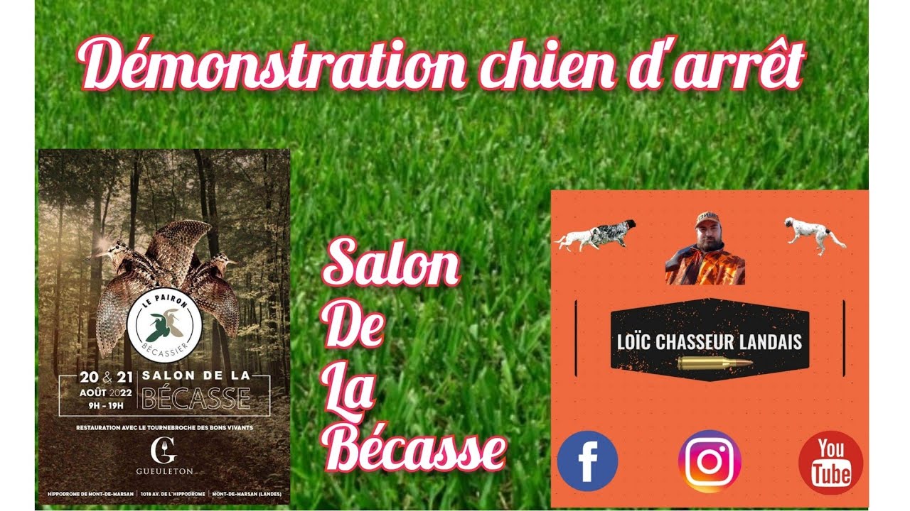 Salon De La Becasse Mont De Marsan
