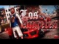 PACK GRAPHIQUE LOS ANGELES | MEILLEUR PACK LOS ANGELES FIVEM
