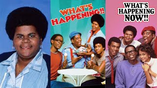 The Sad Reason Shirley Hemphill's Body was Discovered Decomposed by JRNY JRNL 1,431,352 views 10 months ago 10 minutes, 28 seconds