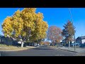 2022/11 Fall Color in San Jose, CA