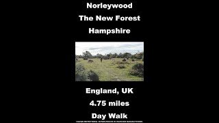 Norleywood Walk, New Forest National Park Walks, Hampshire Walks In England, UK shorts