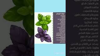 فوائد النعناع الصحية 