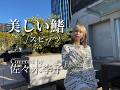 美しい鰭 / スピッツ (Covered by 佐々木李子)