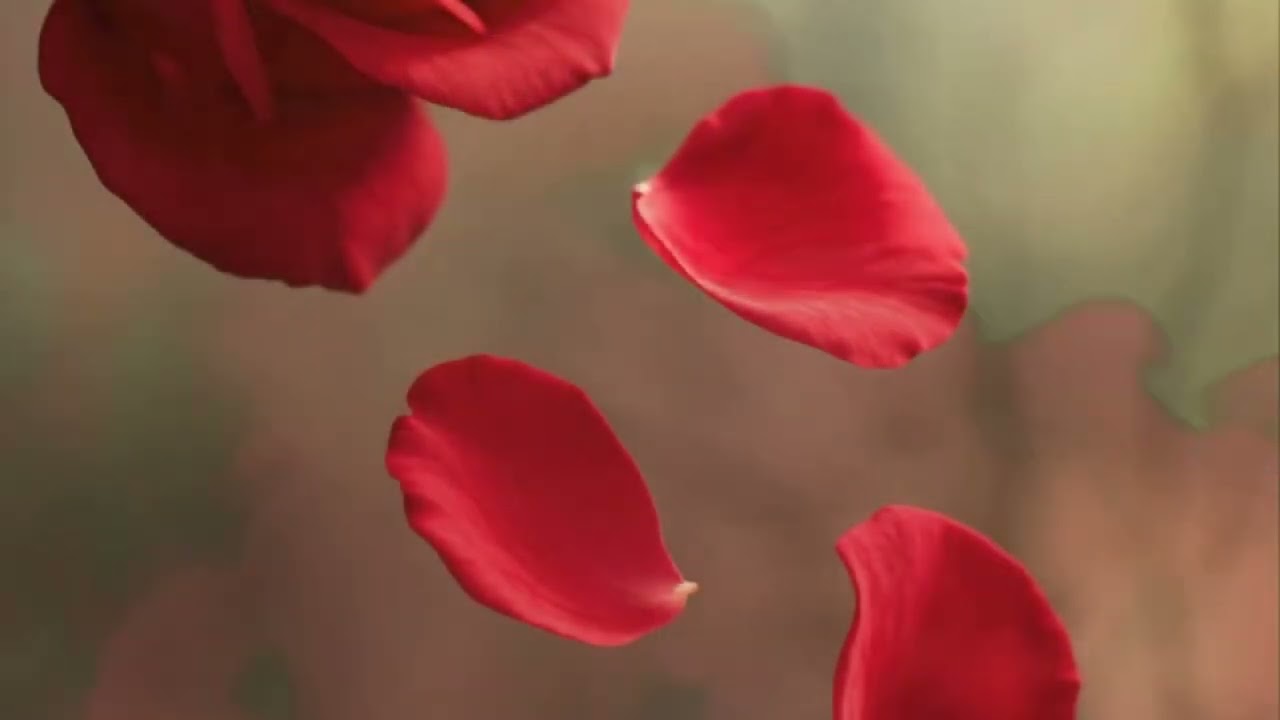 Я не прощаюсь... нет... Поэзия в музыке. Poetry in music. For the soul. #shorts