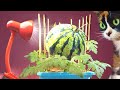 ROOM-GROWN MELONS - 90 DAYS AFTER