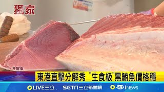 東港黑鮪魚1公斤70元?農業部:個案.非生食級 東港直擊分解秀 