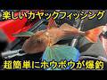 楽しいカヤックフィッシング 超簡単にホウボウが爆釣