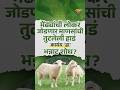 मेंढीच्या लोकरीतून तयार होणार नवं हाड ?