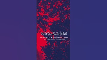 #quran #اكسبلور جميل جدا بصوت القارئ عبد الرحمن مسعد  #لايك