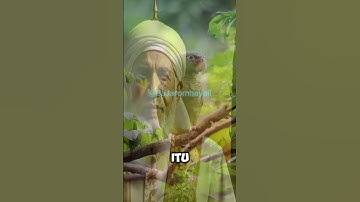 ZIKIRNYA ORANG MAKRIFAT