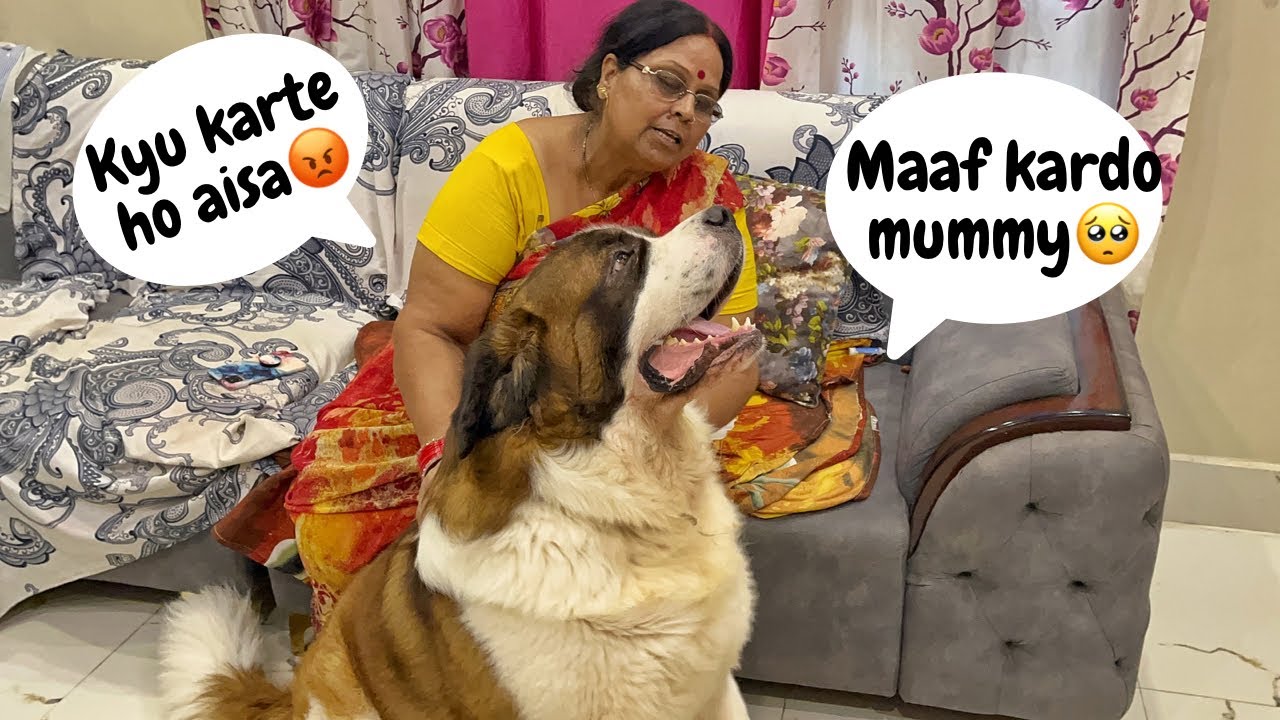 Tyzuu ko padi daant 🥺🤣