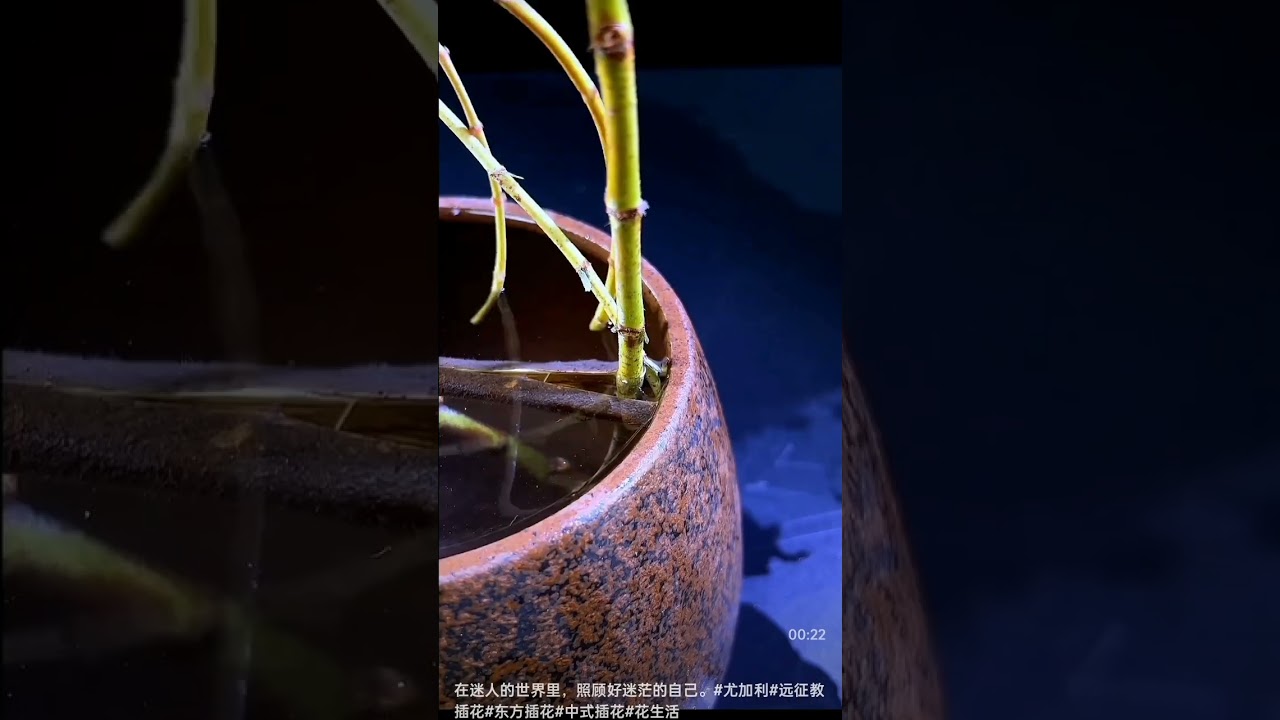 Plant Decorative style 