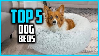 ✅Top 5 Best Dog Beds in 2025