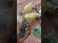 سكوشي من شي ان 🫠💖
