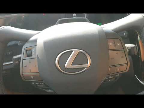 ולוג: יש לה הגה "יוק" אבל היא לא טסלה!