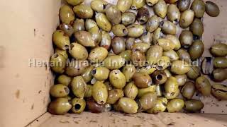 High efficient olive pitting machine olive core removing machine for fruit pitting #machine