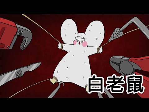 [禽獸朋友們] 白老鼠