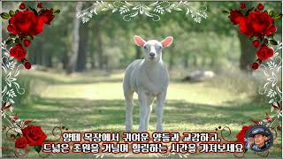 강원도 속초여행 대관령삼양라운드힐여행