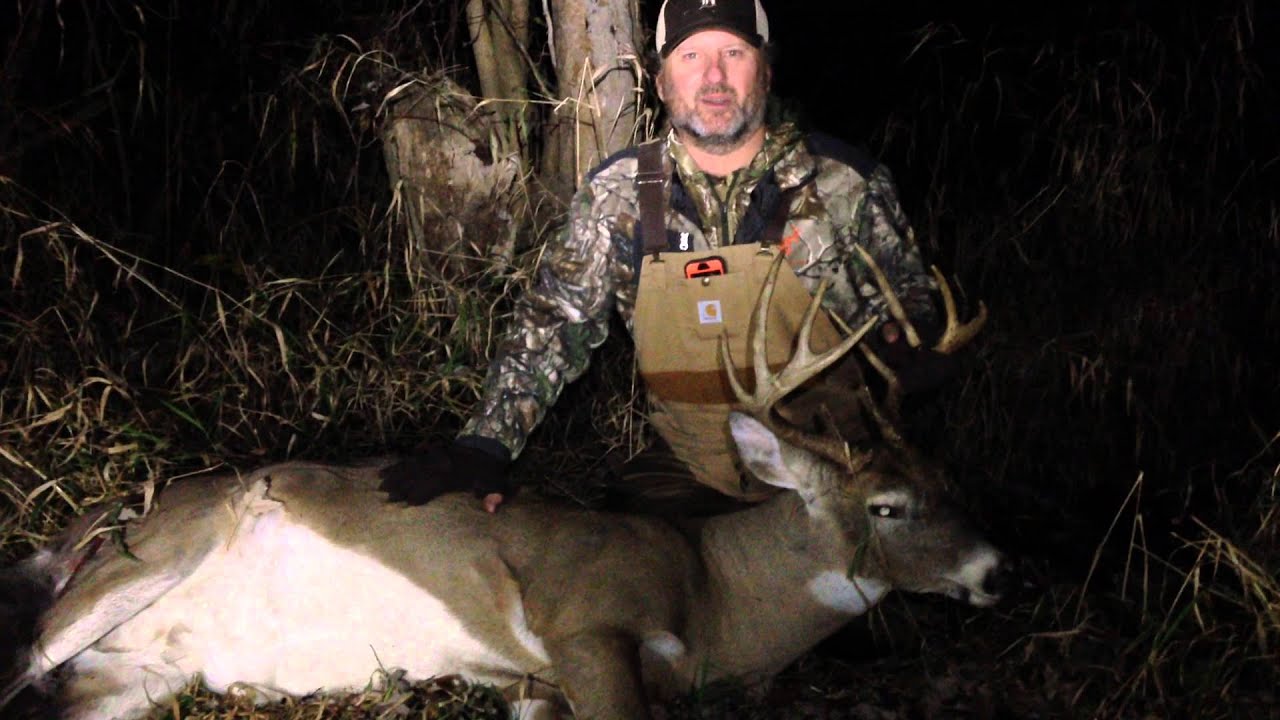 Ypsilanti Mi. Deer tracking dog. YouTube