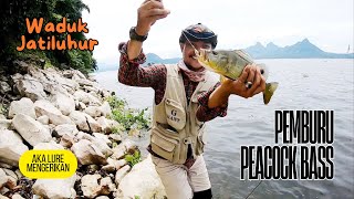 HUNTING FOR PEACOCK BASS IN JATILUHUR RESERVOIR