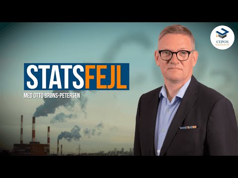 Statsfejl