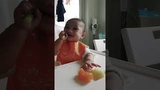 | 1 | Sushi 6m10d ăn dặm theo phương pháp bé tự chỉ huy BLW D10