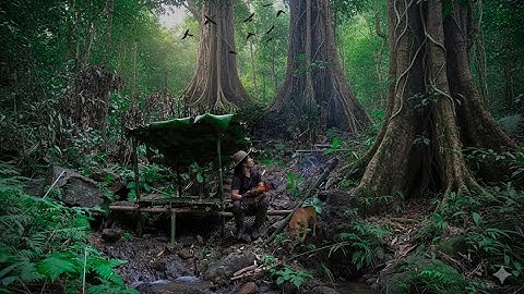 Hunting alone in the forest,creating shelters,surviving in the wild,making chicken traps and fishing