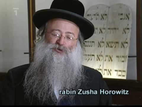 Rabbi Shmuel Shmelke Horowitz - Part 1