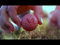 3d printed golf ball this thing can fly