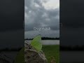 iri ×鈴木真海子×Dragon Ash × CHARA swallowtail butterfly mix by DJ RYO THE FRAP