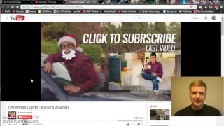 Christmas Lights - Aarons Animals REACTION!