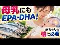 血圧・中性脂肪だけじゃない！ EPA・DHAは赤ちゃんの脳にも必要だった　母乳にも含まれる「魚の油」――なぜ世界中で健康にいいと言われるようになったのか？