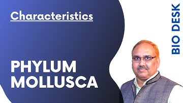 Phylum Mollusca - General Characteristics